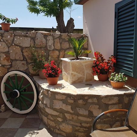 Apartments Liljana Privlaka المظهر الخارجي الصورة